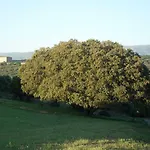 La Casa De La Abuela *
