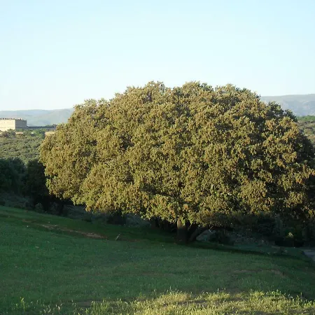 La Casa De La Abuela *
