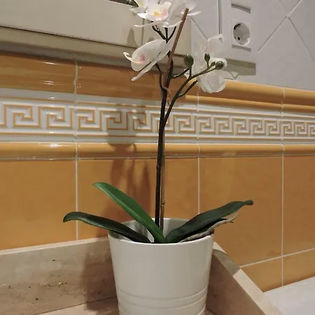 컨트리하우스 La Casa De La Abuela